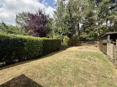 Picture 23